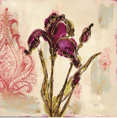 Iris Paisley I by Bella Dos Santos Pricing Limited Edition Print image