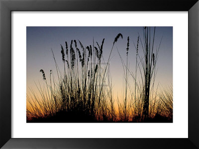 Into The Dunes by Martin Smith Pricing Limited Edition Print image