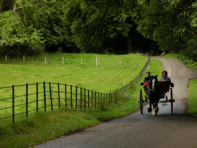 Ireland, Muckross House, Killarney- Horse And Car by Keith Levit Pricing Limited Edition Print image