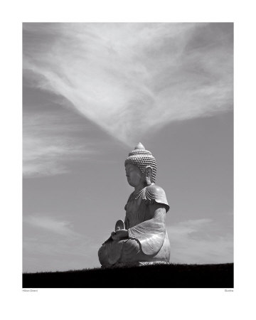 Buddha by Hakan Strand Pricing Limited Edition Print image