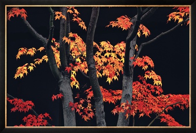 Autumn Sonata by Allan Bruce Zee Pricing Limited Edition Print image
