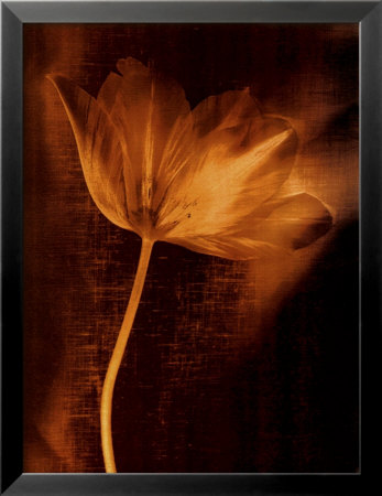 Bronze Tulip Ii by John Butler Pricing Limited Edition Print image