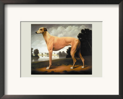 Greyhound On A Parkland Landscape by Christine Merrill Pricing Limited Edition Print image