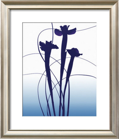 Blue Iris by Nina Farrell Pricing Limited Edition Print image