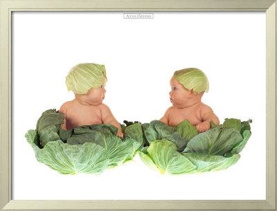 Cabbage Kids by Anne Geddes Pricing Limited Edition Print image
