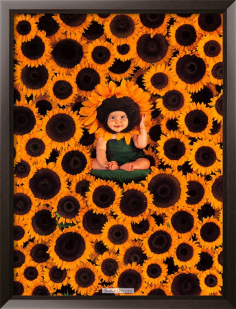 Sunflower Wall by Anne Geddes Pricing Limited Edition Print image