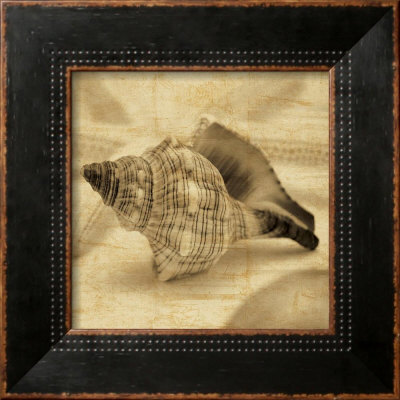 Conch by John Seba Pricing Limited Edition Print image