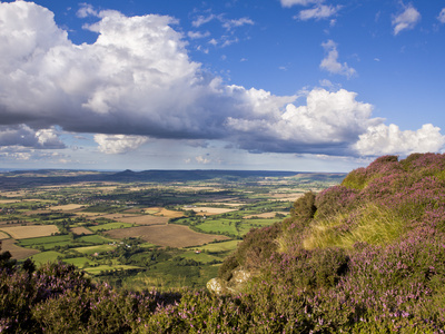 Looking Towards Roseberry Topping And Cleveland From Busby Moor, North Yorkshire Moors, Yorkshire, by Lizzie Shepherd Pricing Limited Edition Print image