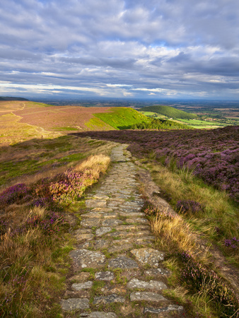 Clouds Gather Above The Cleveland Way And The Heather-Clad Little Bonny Cliff, North Yorkshire Moor by Lizzie Shepherd Pricing Limited Edition Print image