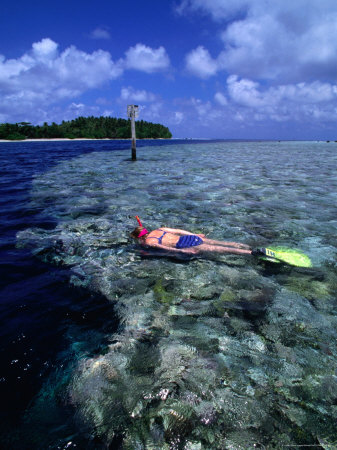 Woman Snorkelling On Reef, Pohnpei State, Micronesia by Michael Aw Pricing Limited Edition Print image