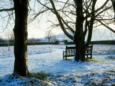 Frosty And Snowy Garden With Views To The Surrounding Countryside by Fiona Mcleod Pricing Limited Edition Print image