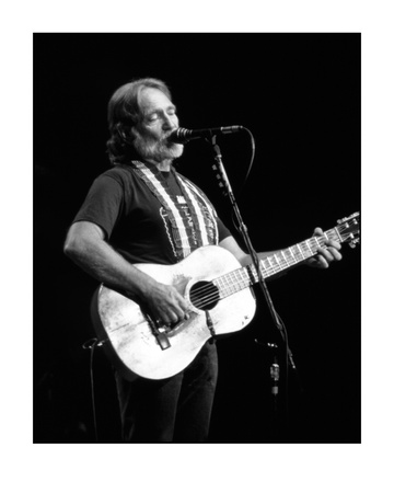 Willie Nelson by John Schultz Pricing Limited Edition Print image