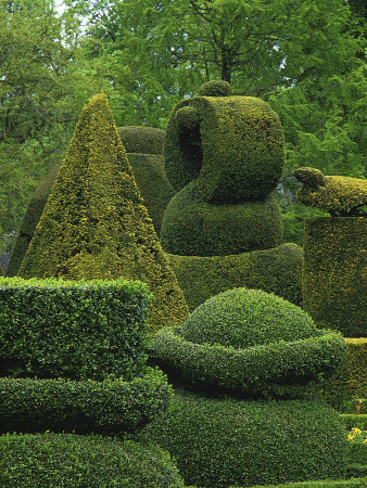 Topiary At Levens Hall by Linda Burgess Pricing Limited Edition Print image