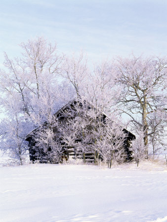 Old Homestead Covered In Frost, Ab, Canada by Troy & Mary Parlee Pricing Limited Edition Print image
