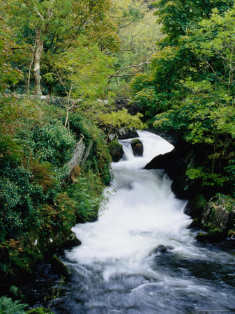 Stream And Small Waterfall In The Snowdonia National Park by Greg Gawlowski Pricing Limited Edition Print image
