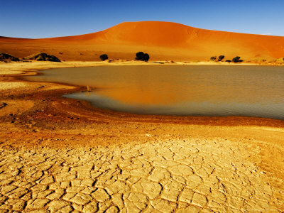 Sossusvlei Filled With Water After Exceptional Rains In 2006, Namibia by Ariadne Van Zandbergen Pricing Limited Edition Print image