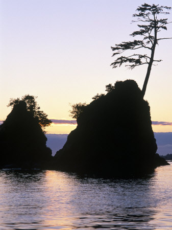 Three Graces Rocks, Tillimook Bay, Barview, Or by Donald Higgs Pricing Limited Edition Print image