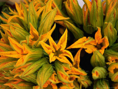 Zucchini Blossom, Venice, Italy by Bruce Chashin Pricing Limited Edition Print image