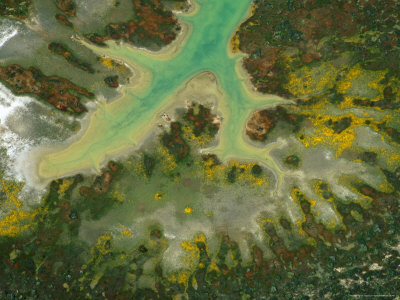 Aerial View Of Soda Lake On Carrizo Plain, California, Usa by Jim Wark Pricing Limited Edition Print image