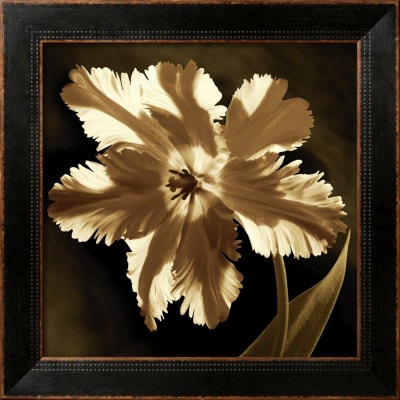 Parrot Tulip I by Caroline Kelly Pricing Limited Edition Print image