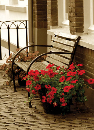 Flower Bench by Steven Mitchell Pricing Limited Edition Print image