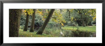 Trees Near A Pond In A Park, Vondelpark, Amsterdam, Netherlands by Panoramic Images Pricing Limited Edition Print image