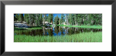 Tuolumne Meadows Pond, High Country, Yosemite National Park, California, Usa by Panoramic Images Pricing Limited Edition Print image