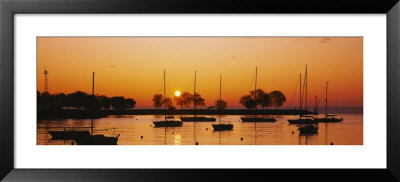 Silhouette Of Sailboats In A Lake, Lake Michigan, Chicago, Illinois, Usa by Panoramic Images Pricing Limited Edition Print image