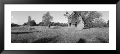 Old House In The Uncultivated Field, North Woods, Wisconsin, Usa by Panoramic Images Pricing Limited Edition Print image