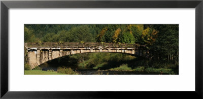 Bridge In A Forest, Black Forest, Germany by Panoramic Images Pricing Limited Edition Print image