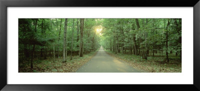 Road Running Through A Forest, Door County, Wisconsin, Usa by Panoramic Images Pricing Limited Edition Print image