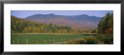 Woman Cycling On A Road, Stowe, Vermont, Usa by Panoramic Images Pricing Limited Edition Print image
