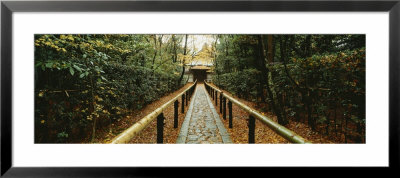 Path Leading To A Temple, Kyoto, Honshu, Japan by Panoramic Images Pricing Limited Edition Print image