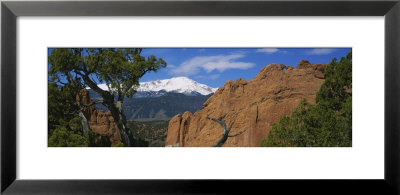 Trees In Front Of A Rock Formation, Pikes Peak, Garden Of The Gods, Colorado Springs, Colorado, Usa by Panoramic Images Pricing Limited Edition Print image