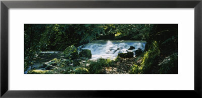 Waterfall In The Forest, Birks O' Aberfeldy, Perthshire, Scotland by Panoramic Images Pricing Limited Edition Print image