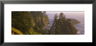 Trees On Rocks, Pacific Ocean, Boardman State Park, Oregon, Usa by Panoramic Images Pricing Limited Edition Print image