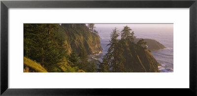Trees On Rocks, Pacific Ocean, Boardman State Park, Oregon, Usa by Panoramic Images Pricing Limited Edition Print image