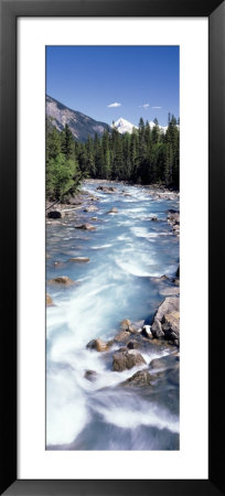 Yoho River, British Columbia, Canada by Panoramic Images Pricing Limited Edition Print image