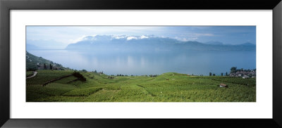 Landscape, Lake Geneva, Switzerland by Panoramic Images Pricing Limited Edition Print image