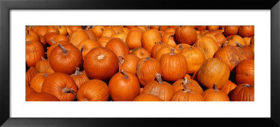Close-Up Of Pumpkins by Panoramic Images Pricing Limited Edition Print image