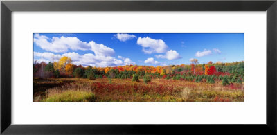 Autumn Foliage, New York State, Usa by Panoramic Images Pricing Limited Edition Print image