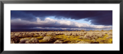 Clouds, Mojave Desert, California, Usa by Panoramic Images Pricing Limited Edition Print image