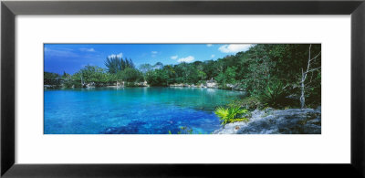 Cozumel, Mexico by Panoramic Images Pricing Limited Edition Print image