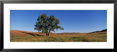 Wind Cave National Park, South Dakota, Usa by Panoramic Images Pricing Limited Edition Print image