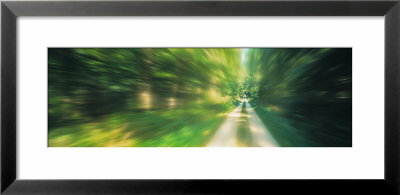 Road, Greenery, Trees, Germany by Panoramic Images Pricing Limited Edition Print image