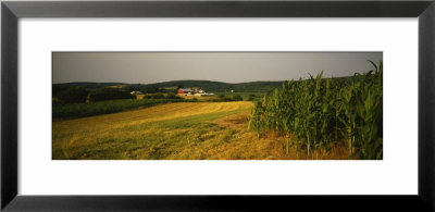 Farm Fields, Fredrick, Virginia, Usa by Panoramic Images Pricing Limited Edition Print image