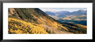 View Of Trees In Autumn, San Juan Mountains, Colorado, Usa by Panoramic Images Pricing Limited Edition Print image