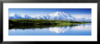 Hiker In Denali National Park, Alaska, Usa by Panoramic Images Pricing Limited Edition Print image