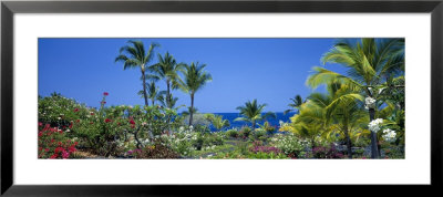 Kona Coast, Hawaii, Usa by Panoramic Images Pricing Limited Edition Print image