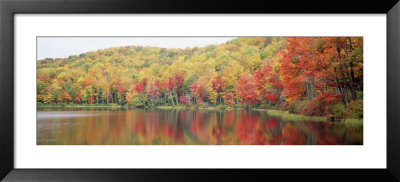 Savoy Mountain State Forest, Massachusetts, Usa by Panoramic Images Pricing Limited Edition Print image